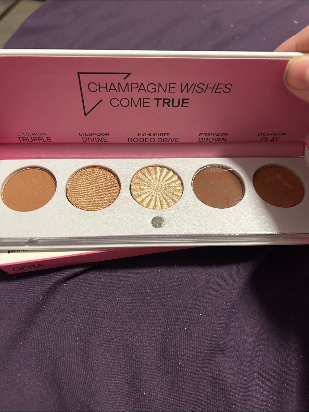 OFRA Champagne Wishes Come True Palette — brown, gold, tan, cream